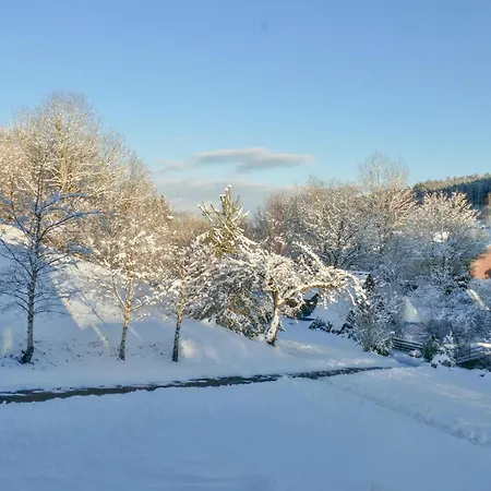 Alte Muehle * Brigach