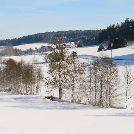 Alte Muehle * Brigach