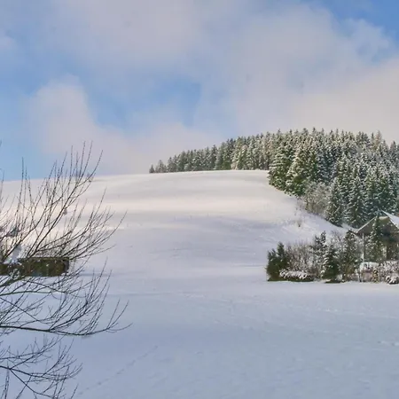 Alte Muehle