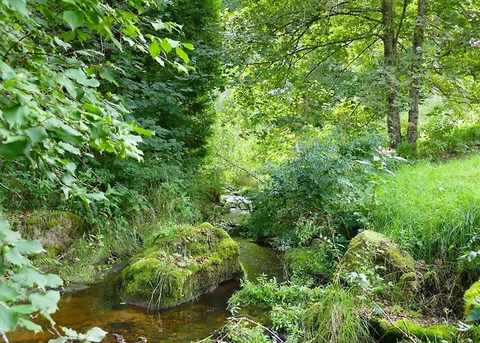 Alte Muehle Vakantiehuis *