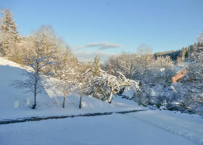 Alte Muehle * Brigach