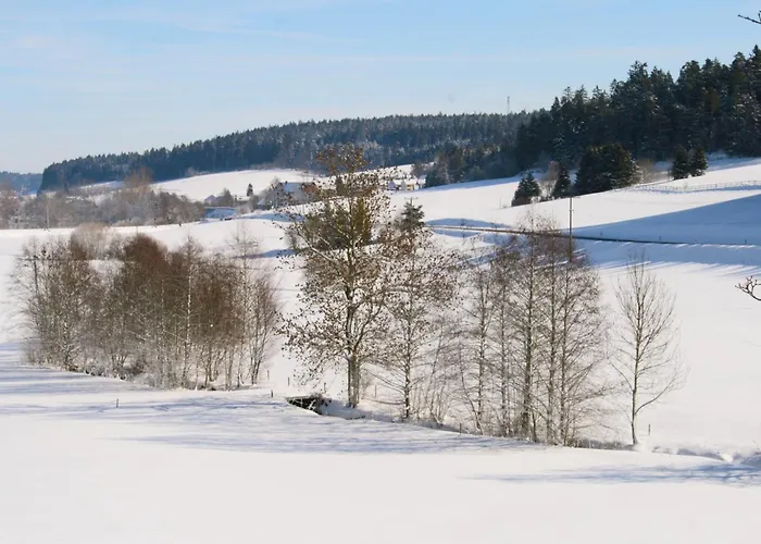 Alte Muehle * Brigach